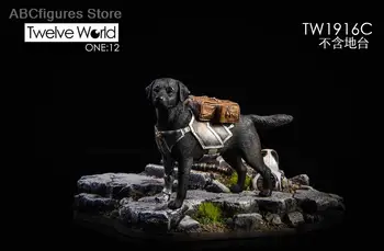 1/12 Kalıntıları savaş ve Mekanik Robot Köpek Hayvan Modeli Şekil Sahne Aksesuarları TW1916 için 6 