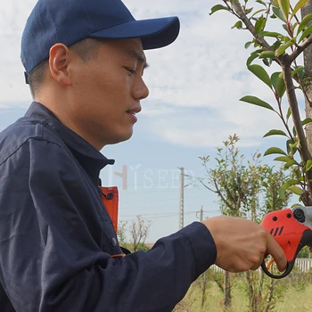 Lityum pil meyve ağacı secateurs en iyi bahçe aletleri (CE 6-8 çalışma saatleri)