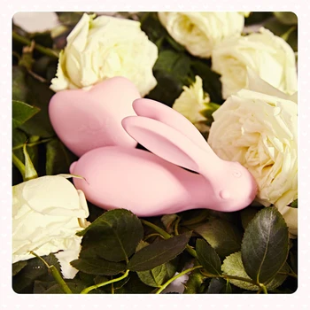 Tavşan Görünmez Aşınma Titreşimli Yumurta Vibratör Kadınlar için Kadın Mastürbasyon Uzaktan Kumanda Klitoris Stimülatörü Masaj Seks Oyuncakları